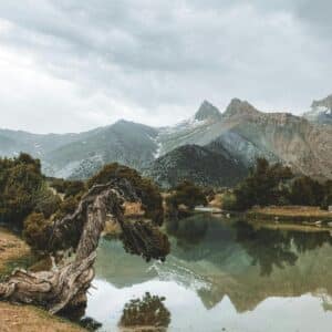 Community Group Ketamine Therapy